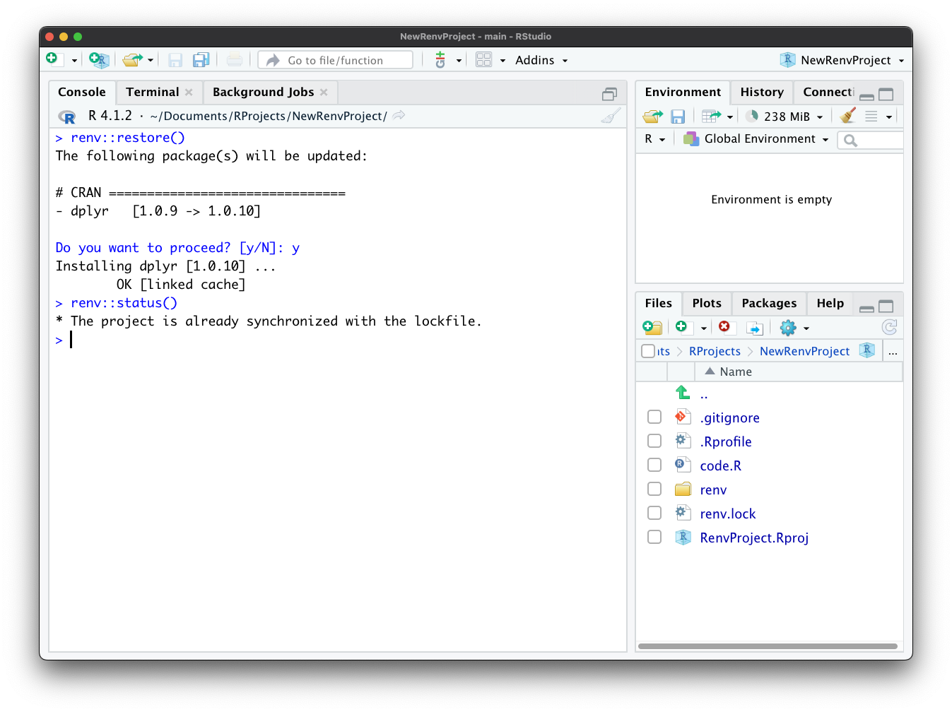 Image 15 - Restoring an R environment with renv